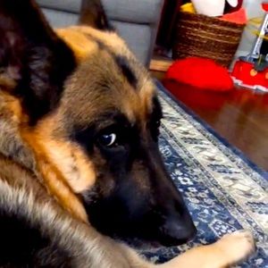 Meet your Posher, Jay